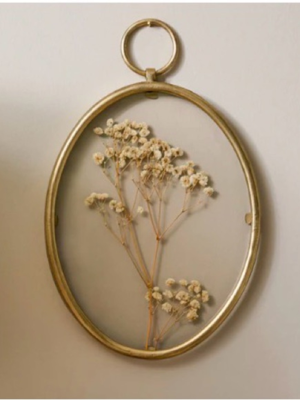 Magnolia Gold Oval Botanical Wall Frame with Dried White Flowers